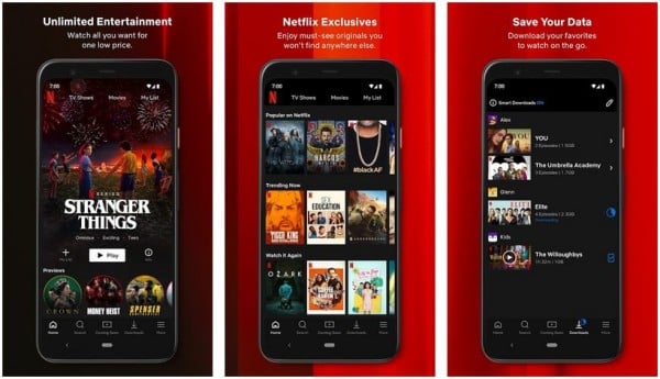 Netflix Mod Apk