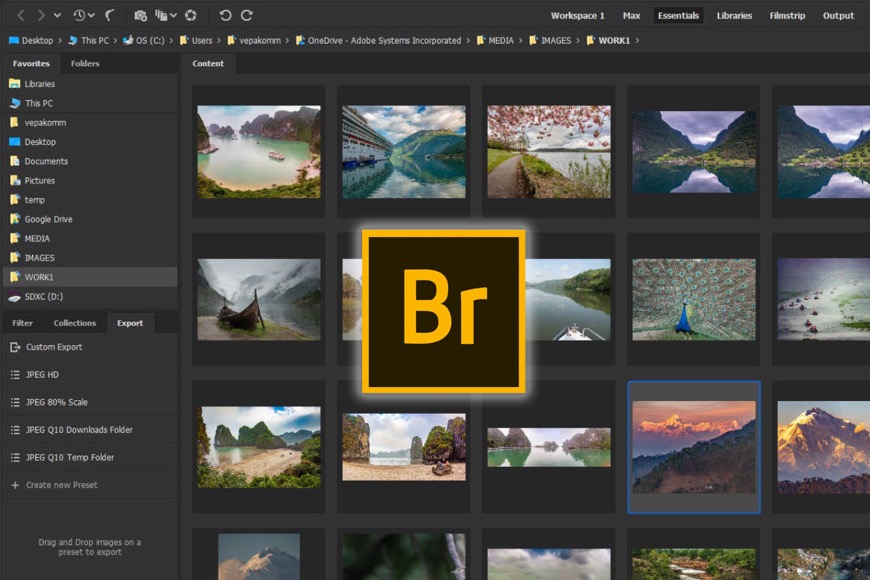 Adobe Bridge 2025