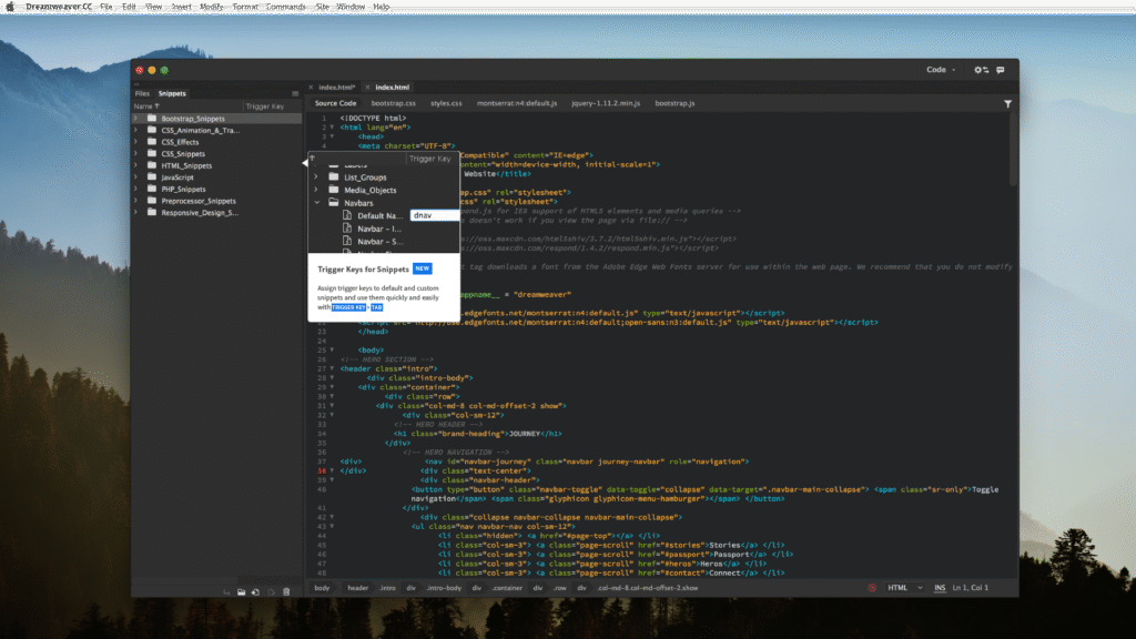 Download Adobe Dreamweaver 2025